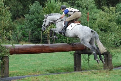 NRM Gandalf and Mark Todd at Riverdale,  Rotorua